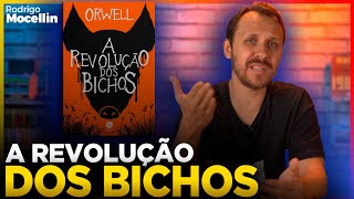 A revolução dos bichos um guia de estudo completo  Pastor Rodrigo Mocellin [upl. by Norred]