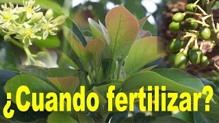 Cuando Fertilizar 2do video del Curso de Fertilización [upl. by Leiba]