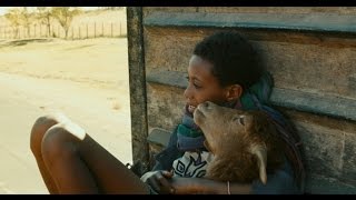 Trailer LAMB Ethiopia [upl. by Isabelita]