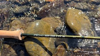 The Best Budget Streamer Fly Rod of 2024  Echo 84B Review [upl. by Ennaitak]