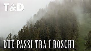 Due passi tra i boschi del Tirolo 🇮🇹 Italia [upl. by Gallager]