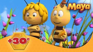 La Abeja Maya 🐝 🕒 30 EPISODIOS COMPLETOS 🐝 [upl. by Nauqel573]