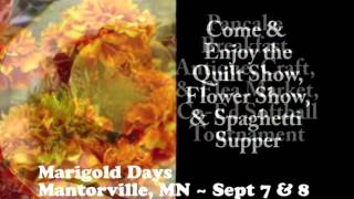 Mantorville Minnesotas Marigold Days on Our Storys Festival Fanatics  152 [upl. by Handal]