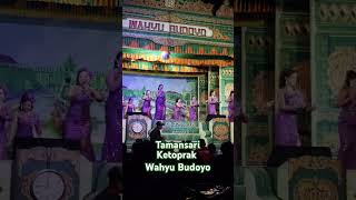 TAMANSARI KETOPRAK WAHYU BUDOYO DI DESA HADIWARNO [upl. by Nylrahs]