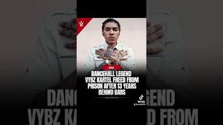 Vybz Kartel Free And We Proud Of Him [upl. by Enyaw]