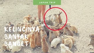 Pulau Kelinci Okunoshima Rabbit Island atau Usagi Jima  Memberi Makan Kelinci [upl. by Nerty]