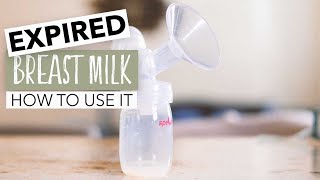 What to do with Extra Breast Milk  14 SMART Uses for Your Leftover Milk [upl. by Raji764]