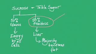 Biological Macromolecules Carbohydrates [upl. by Nored]