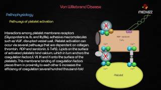 Von Willebrand Disease  Case based webinar discussion usmle step 1 [upl. by Etteniuq52]