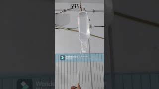 saline solution drip in hospital [upl. by Brick]