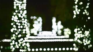 Holidays at Filoli  Garden Lights [upl. by Kresic]