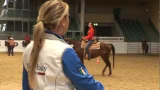 Interviews with Western Horsemanship clinicians [upl. by Hosea232]