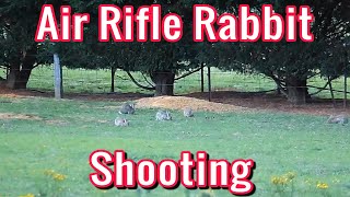 Air rifle rabbit shooting  22 Calibre  FX Impact [upl. by Ecneret]