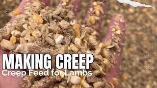 Feeding Lambs Creep 18 g Protein Feed Using Grinder Mixer Reduces Costs to Feed Lambs 1st Group [upl. by Soisinoid]