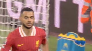 Cody Gakpo Goal vs man City  Liverpool vs Manchester City HighlightsMo Salah Assist [upl. by Ziegler]