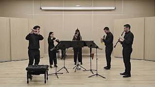 F Danzi  Woodwind Quintet  Op56 N2 mov 1 [upl. by Eilak]