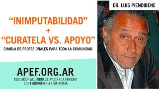 Inimputabilidad y Curatela vs Apoyo  Charla APEF  Dr Luis Piendibene [upl. by Eissak]