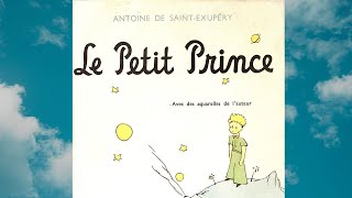 Le Petit Prince  Chapitre 4  quotLes Astéroïdesquot [upl. by Hbaruas893]