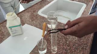 Limewater Test for CO2 [upl. by Rillis]