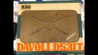 Davoli D531T 10W pushpull amplifier with tremolo  Bluesberry [upl. by Mor]