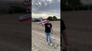 RadioLink A560 Rc Planes Easy Easy Flight Professional Stabilizer Planes 3D shorts [upl. by Nohtanoj]