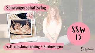 SSW 13  Ersttrimesterscreening  welches Geschlecht hat unser Baby  Schwangerschaftsvlog [upl. by Stoneman458]