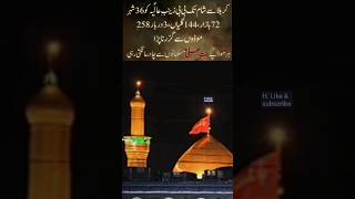 seyda Zainab As 💓karbala unfrezzmyaccount H goneviral 🌴 [upl. by Ynahteb]