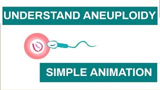 Aneuploidy in Humans Chromosome anomalies  Learn about Aneuploidy with This Simple Animation [upl. by Meelak920]