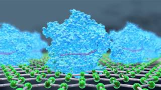 CRISPRChip Enables Detection of DNA without Amplification [upl. by Ennaej]