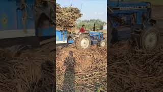 Farmtrac 60 trally load  short video amp subscribe [upl. by Pega]