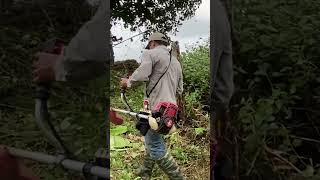 Cutting down trees Clean up house abandoned clean cleanup cuttingdown [upl. by Ymer]