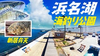 【浜名湖（新居）海釣り公園】5ヶ所のT字堤防から連日大物が釣れてる静岡NO1の釣場。 [upl. by Bobbye]