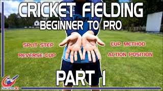 Cricket Fielding Guide  Part 1 Action position Split step Cup and Reverse cup method [upl. by Kaine]