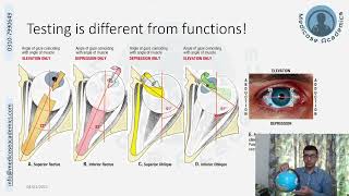 Testing Extraoccular Muscles [upl. by Yecrad]