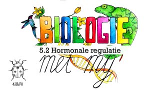 4H  52 Hormonale regeling [upl. by Reinold612]