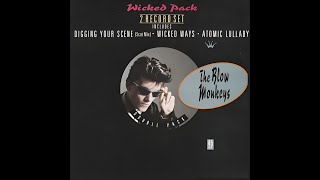 The Blow Monkeys  Digging Your Scene Scat Mix 1986 [upl. by Combes]