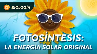 Fotosíntesis la energía solar original Crash Course Biología 28 [upl. by Kcirnek500]