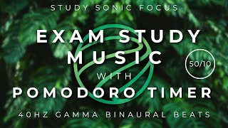 5010 Exam Study Music Pomodoro Timer  40Hz Gamma Binaural Beats for Study Focus and Test Revision [upl. by Aurel627]