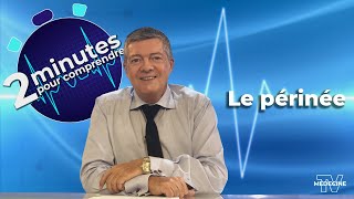 Le périnée  2 minutes pour comprendre [upl. by Bobette]