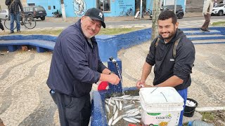 Pesca de muitas sardinhas Ponte Giuseppe Garibaldi Imbé Tramandaí RS pesca sardinha fishing [upl. by Aimahs62]