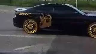 Dodge charger srt 392 on gold dub spins [upl. by Roger]