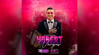 Voy a Amarte 15 EXITOS DE HEBERT VARGAS VallenatoMix [upl. by Farmer]