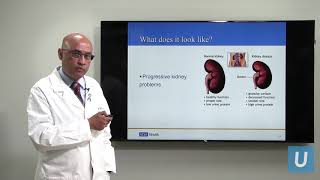 Kidney Disease What You Should Know  Anjay Rastogi MD  UCLAMDChat [upl. by Flaherty]