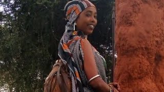 New BORANA OROMO Music2019 by GORDO DALACHAFaaruu Loonii [upl. by Gardiner]