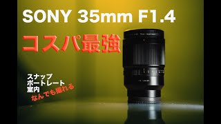 【初めに買うならこれ！なんでも撮れる万能レンズ】SONY 35mm F14 [upl. by Funk]