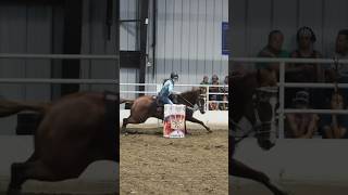 AMERICAN RODEO QUALIFIERS barrelracing equestrian horses horseriding [upl. by Siravrat621]