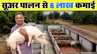 सूअर पालन से 6 लाख कमाई  Pig farm [upl. by Irrol438]