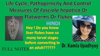 Fasciola hepatica Fasciola hepatica life cycle Flat worm Liver Fluke Fluke Liver rot [upl. by Nangatrad]