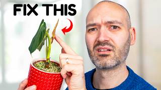 This Simple Trick Will Get Your Plant Growing Again [upl. by Zoila]