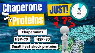 The Shocking Truth About Chaperone Proteins No One Tells You [upl. by Court]